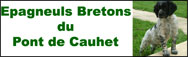 Le Pont de Cauhet : notre levage d'pagneuls bretons